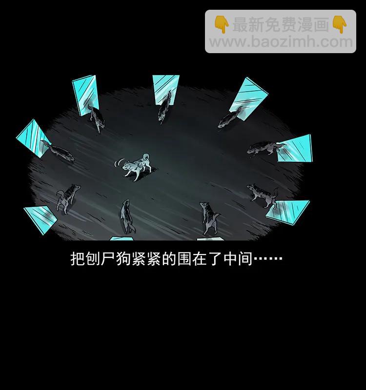 251 刨尸狗遇险87