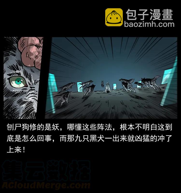 251 刨尸狗遇险88