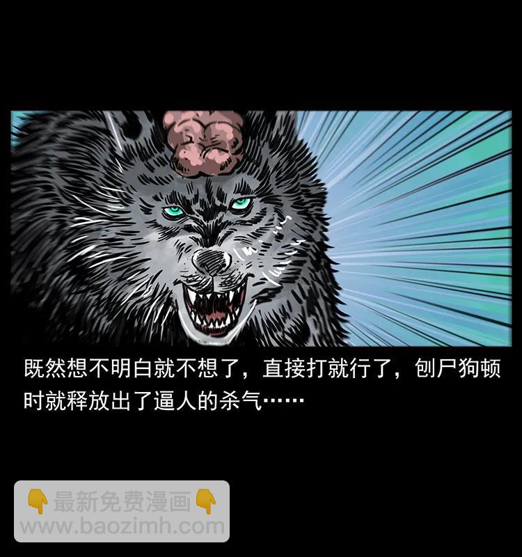 251 刨尸狗遇险90