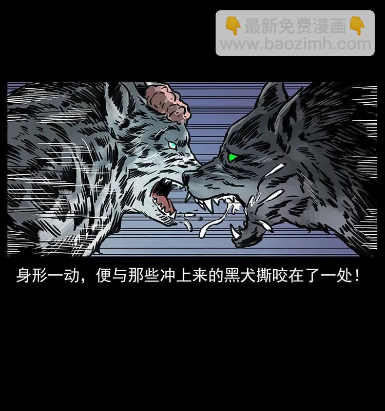 251 刨尸狗遇险91