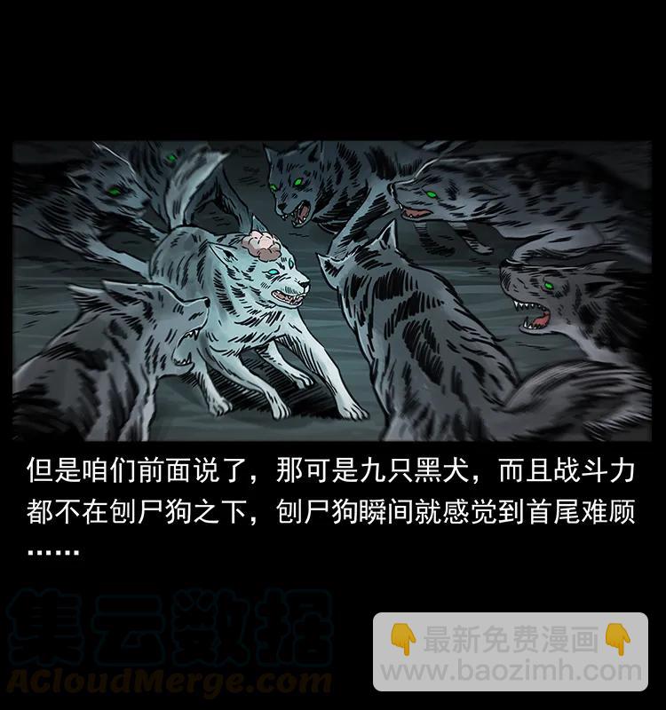 251 刨尸狗遇险92