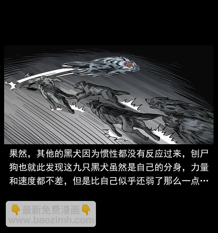 252 危机！危机13