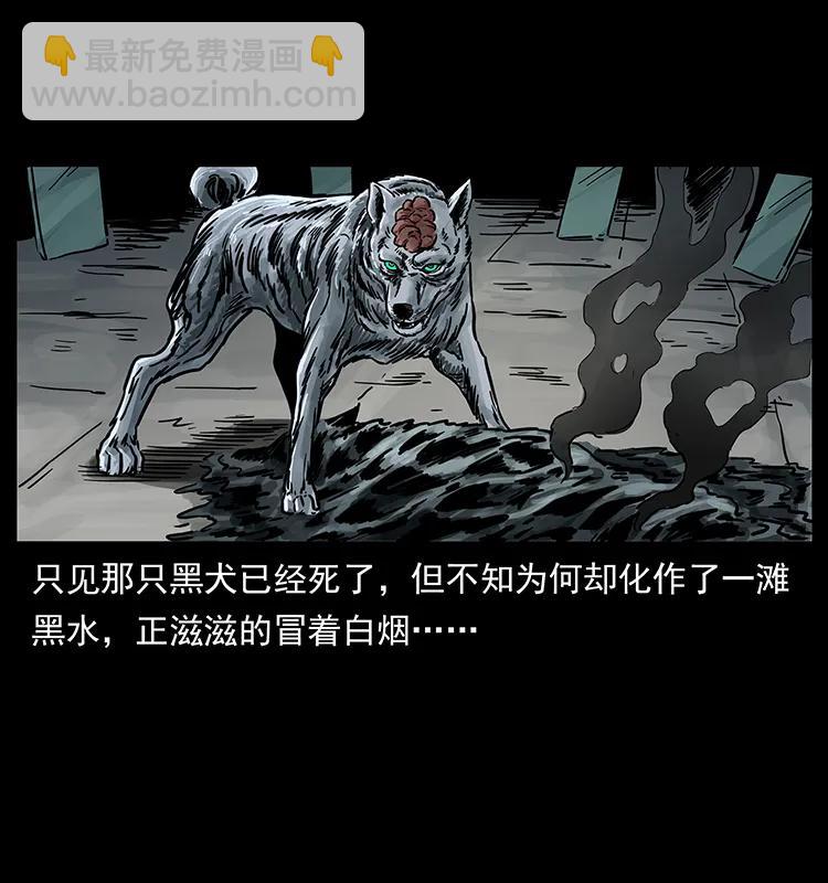252 危机！危机17