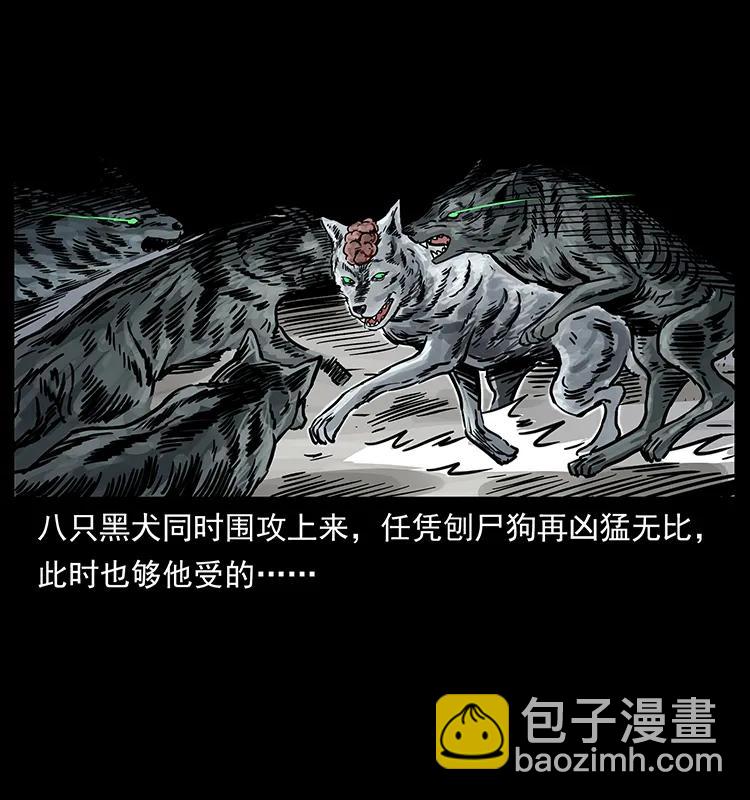 252 危机！危机19