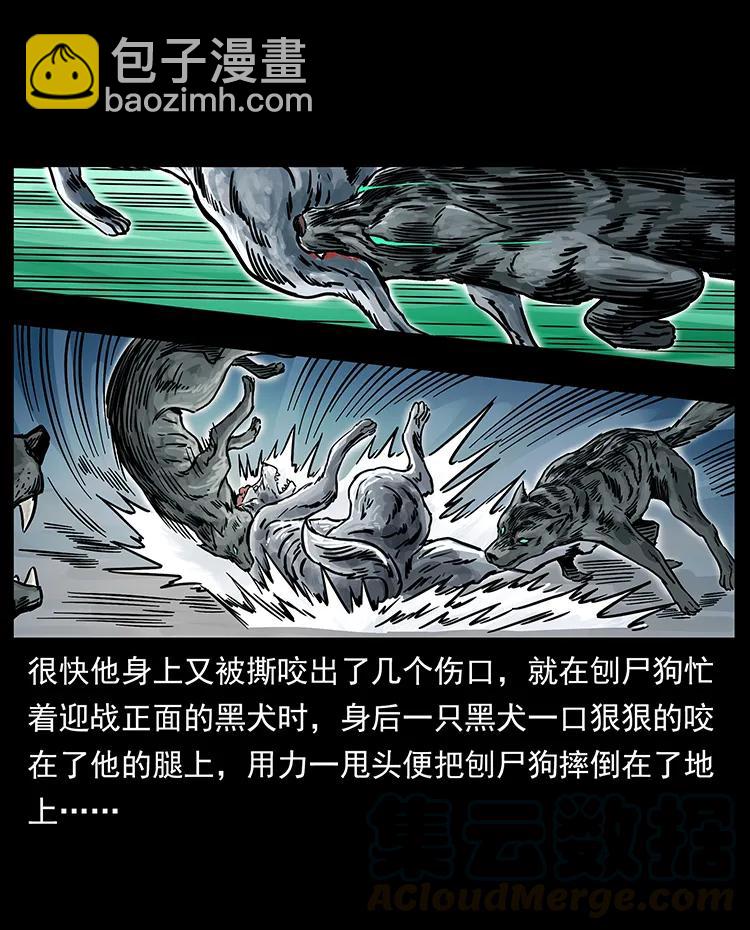 252 危机！危机20