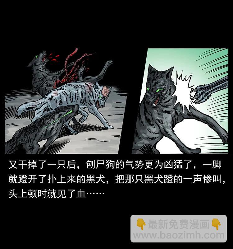 252 危机！危机27