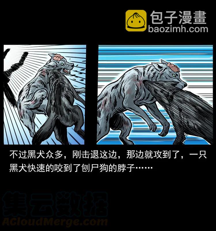252 危机！危机28
