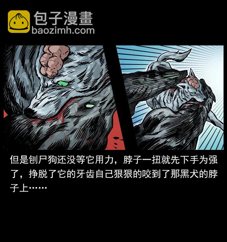 252 危机！危机29
