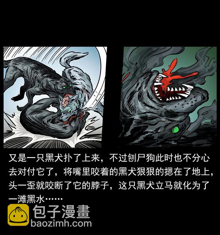 252 危机！危机30