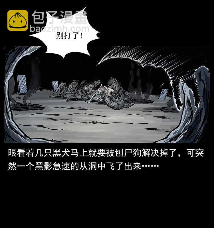 252 危机！危机41