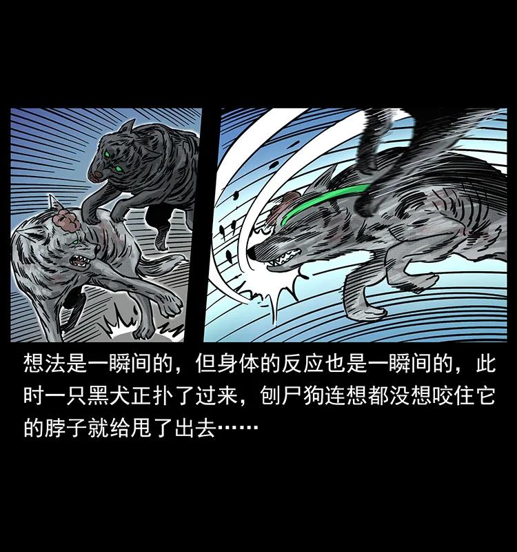 252 危机！危机45