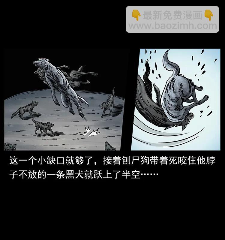 252 危机！危机5