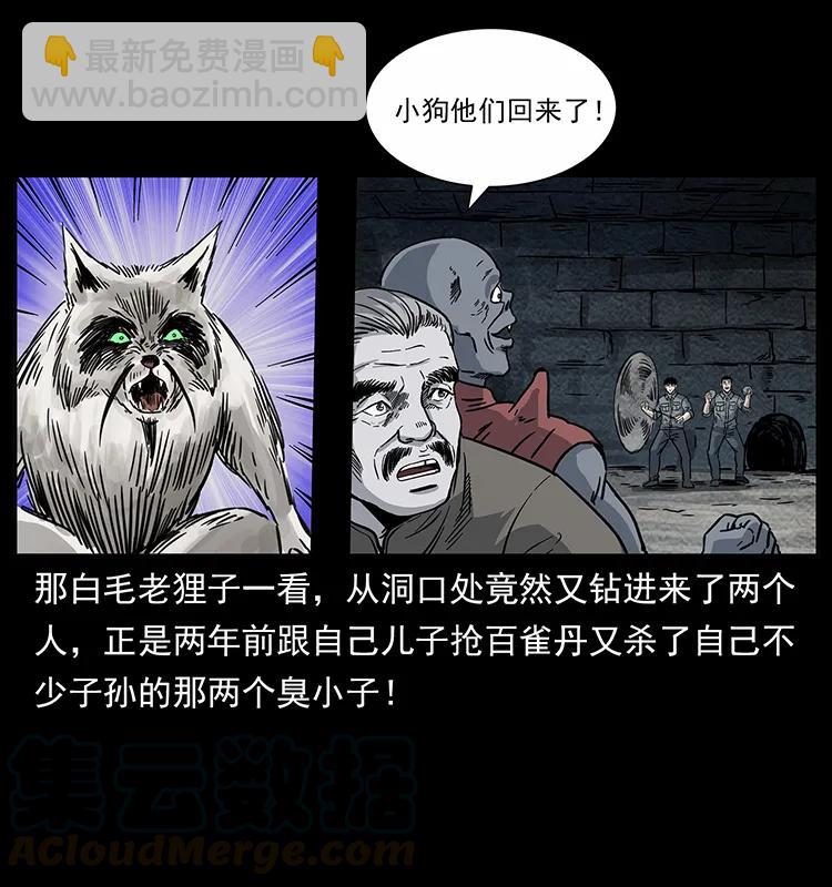 252 危机！危机80