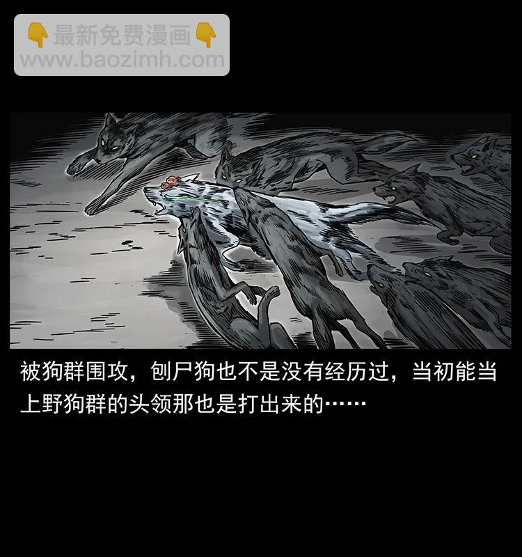 252 危机！危机9