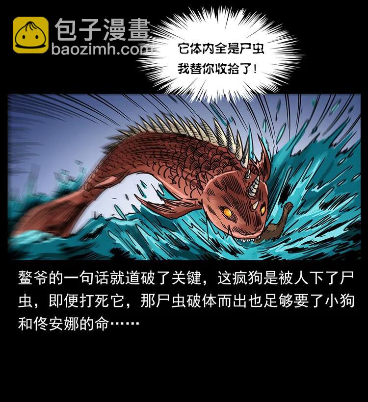 258 身后的危机51