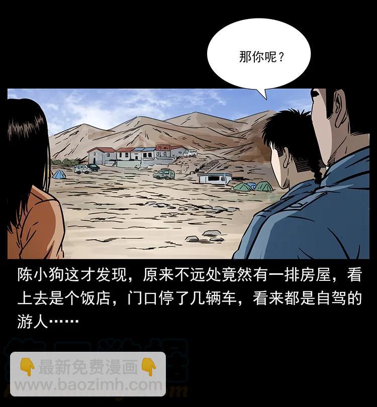 261 新藏线20