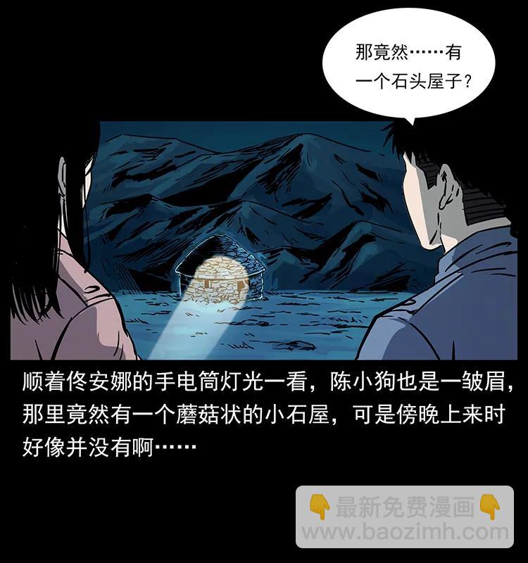 261 新藏线66