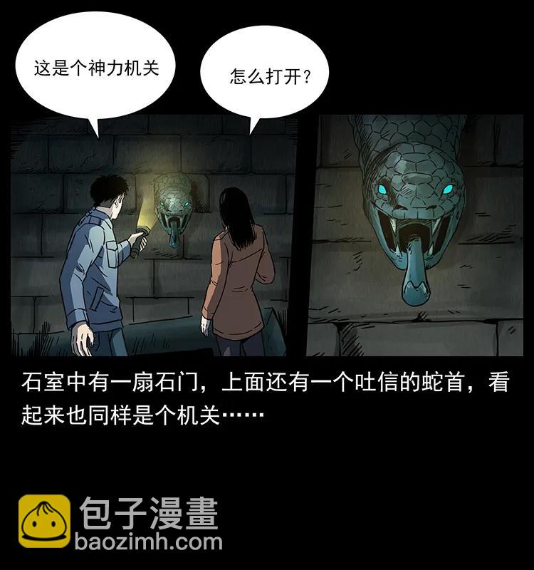 262 藏地神族22