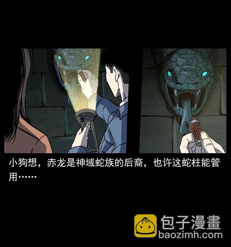 262 藏地神族26