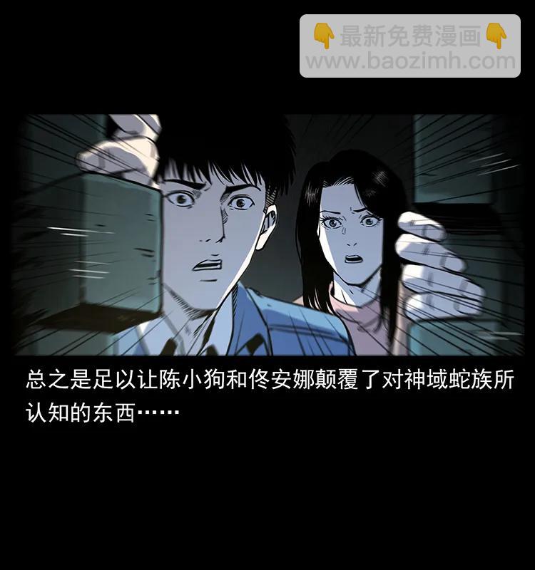 262 藏地神族29