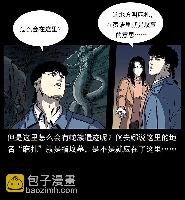262 藏地神族3