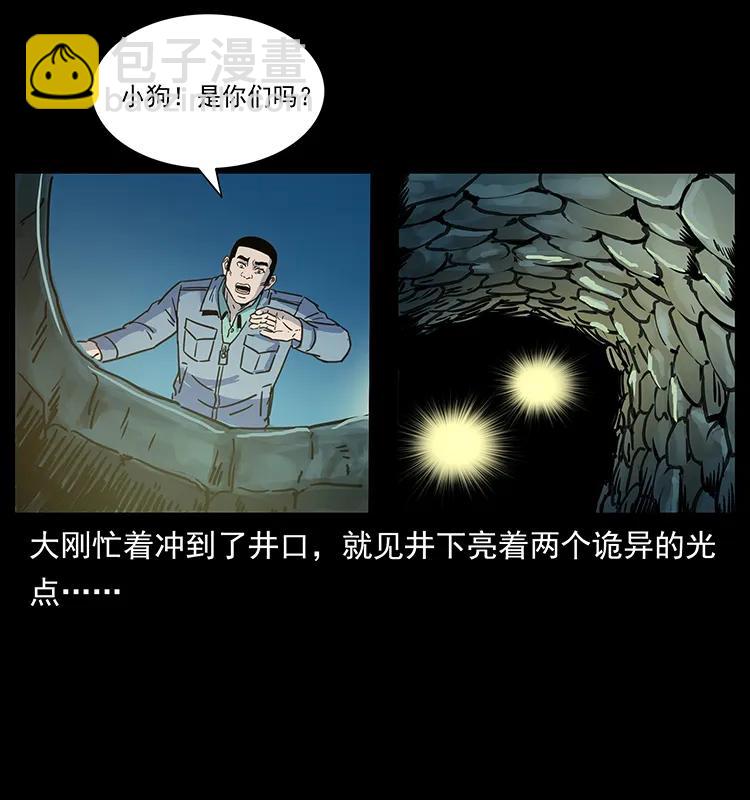 262 藏地神族38