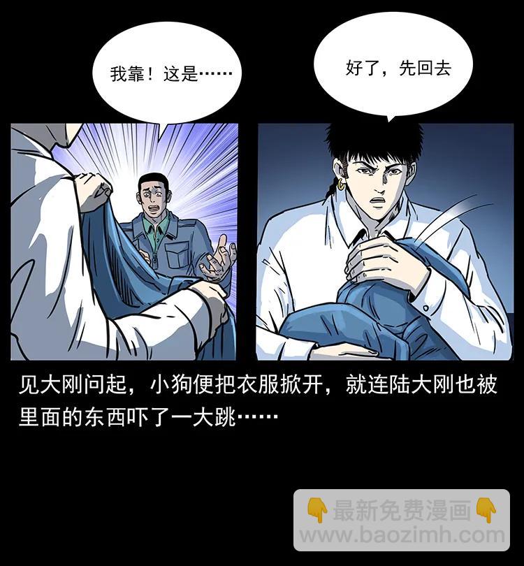 262 藏地神族43