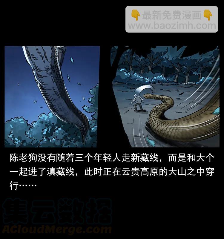 262 藏地神族48