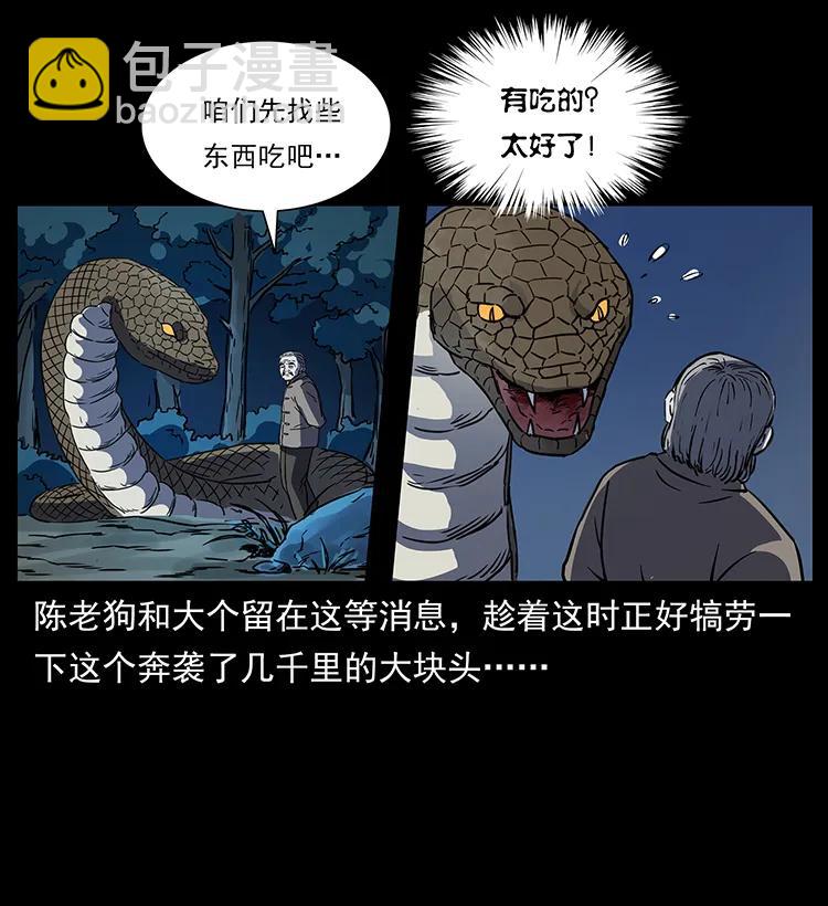 262 藏地神族62