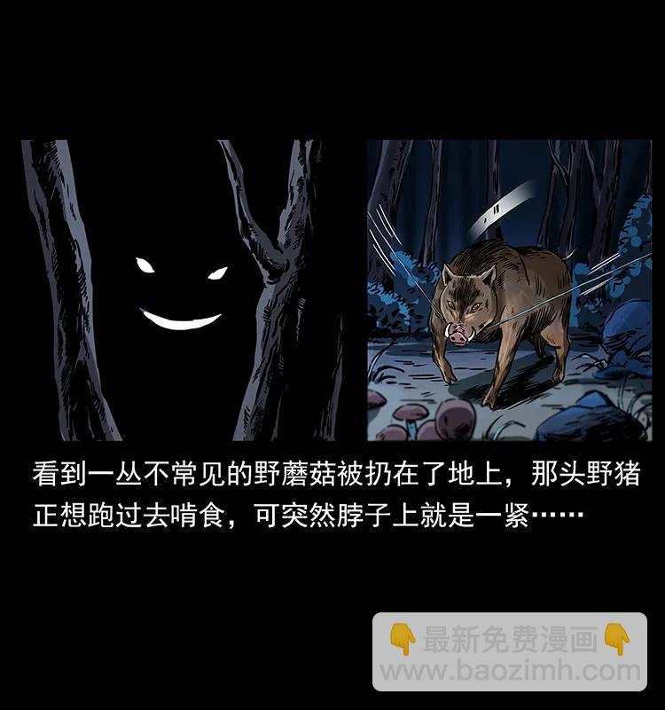 263 恐怖杀人峰51