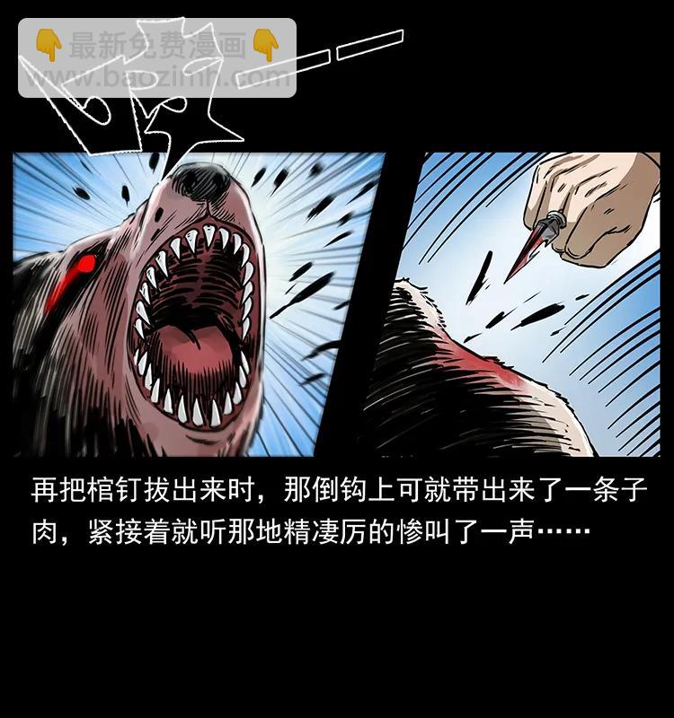 267 万山之祖——昆仑！65