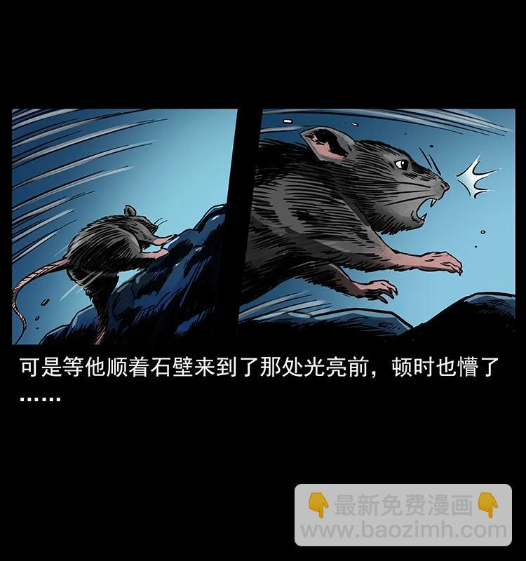 270 黑暗循环89