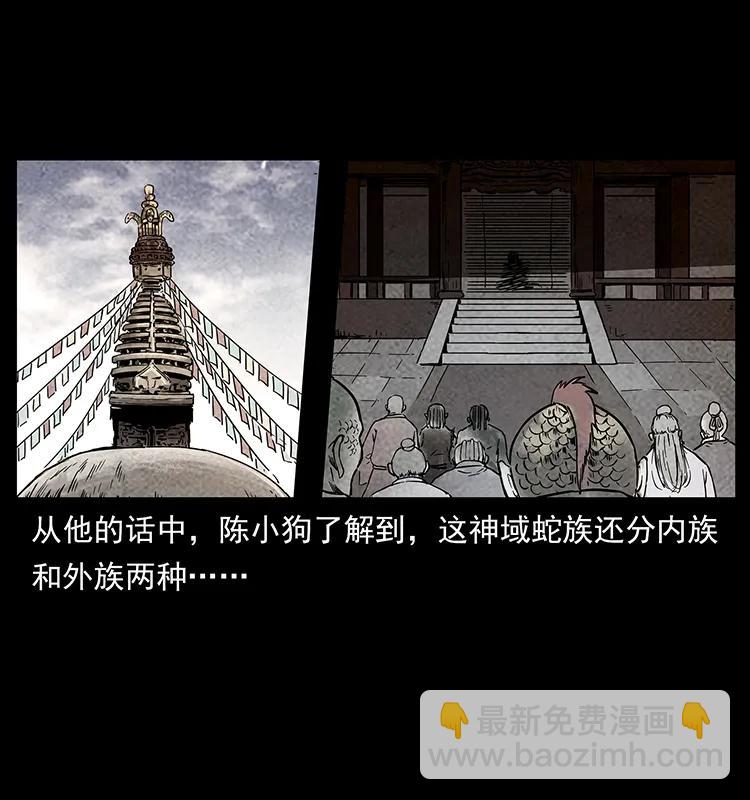274 神族的计划9