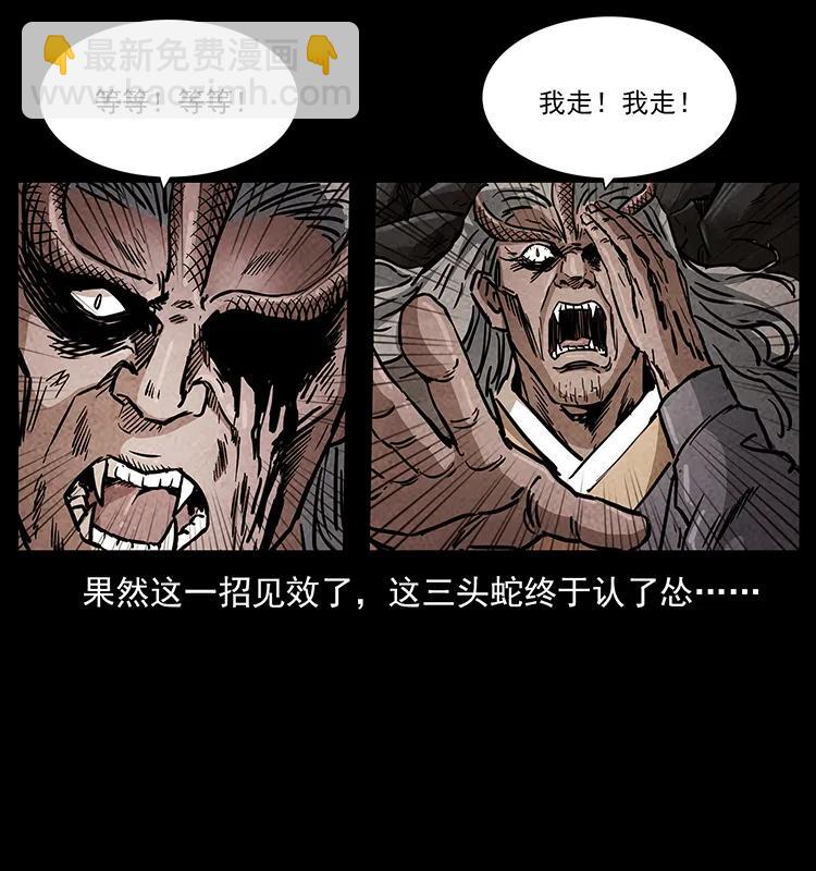 277 三头蛇18