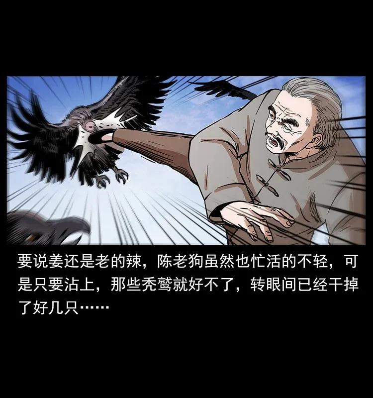281 柱子归来！21