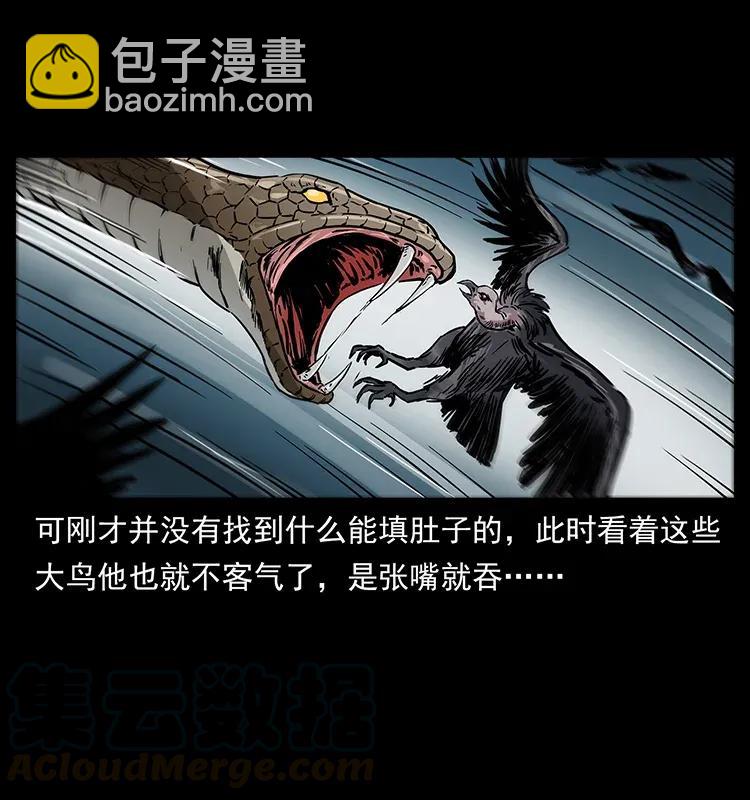 281 柱子归来！24