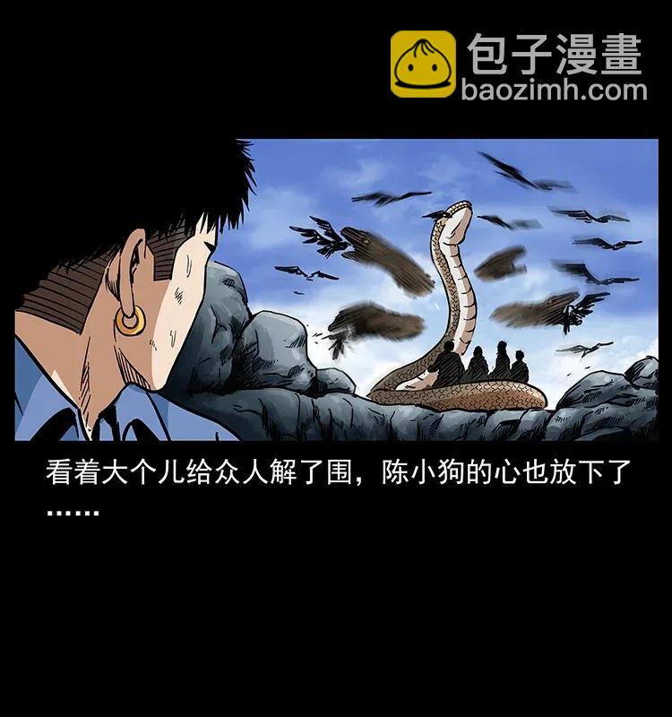 281 柱子归来！26