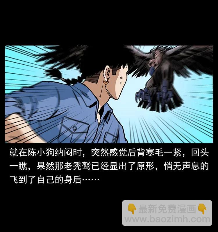 281 柱子归来！29