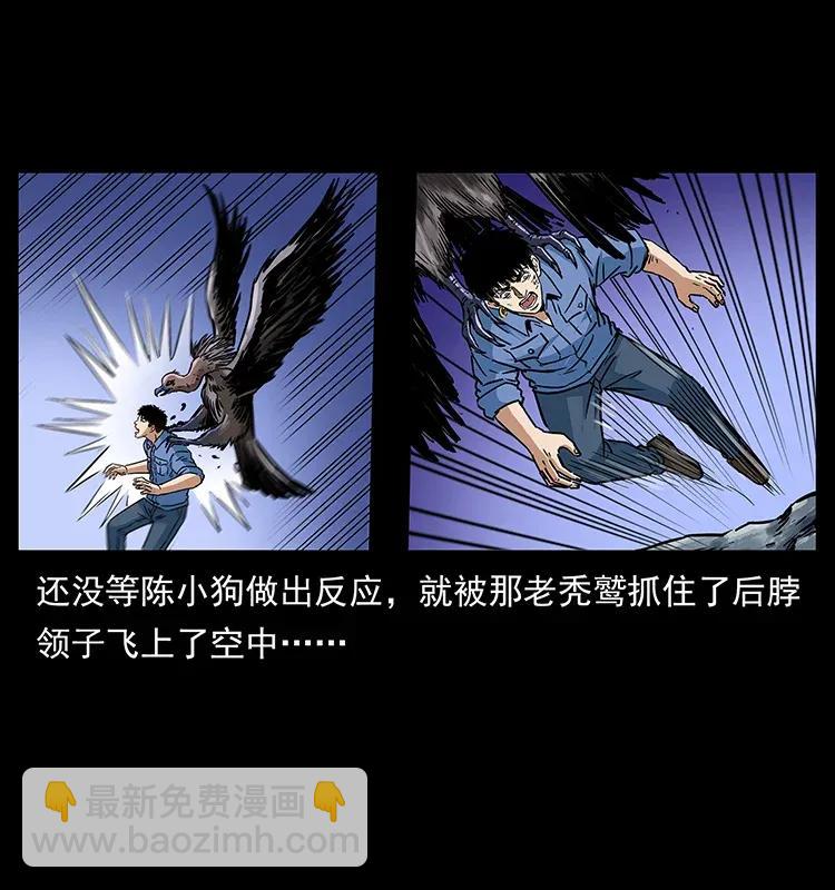 281 柱子归来！31