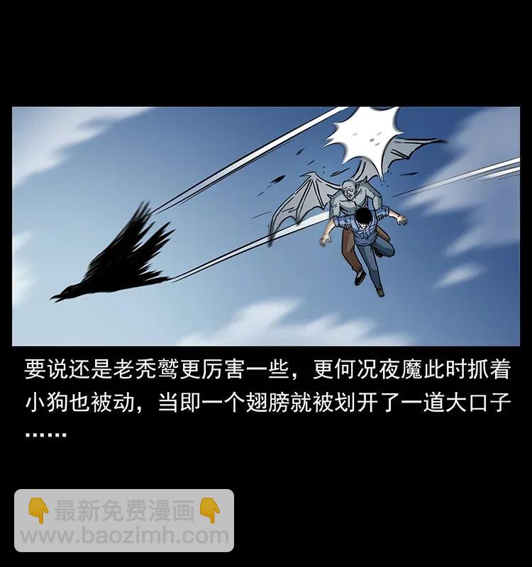281 柱子归来！41