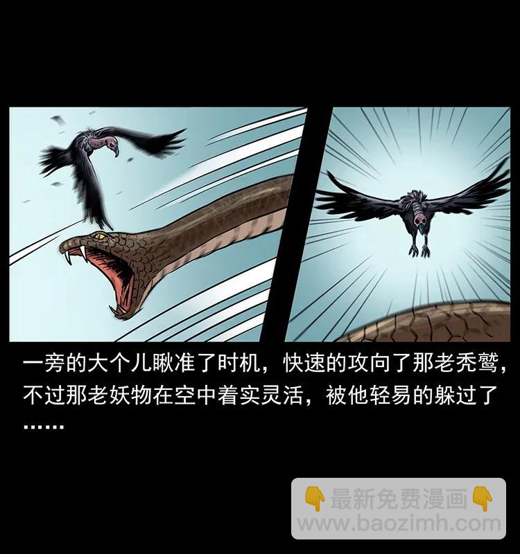 281 柱子归来！45