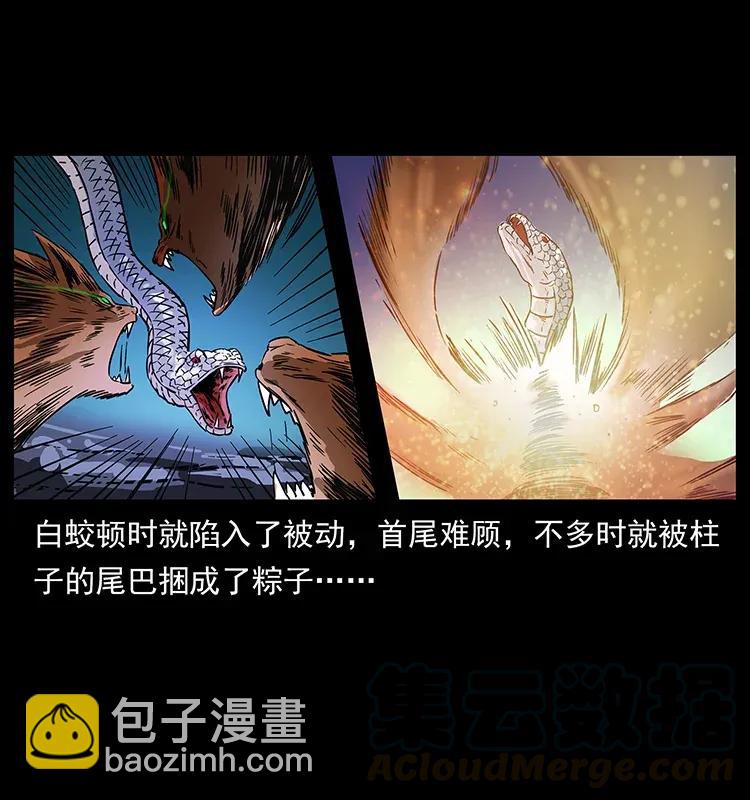 283 神域守门人56