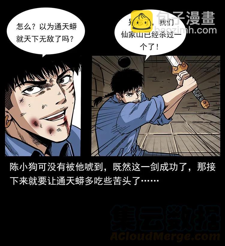 288 强者归队！12