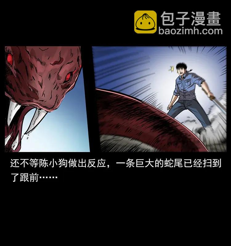 288 强者归队！41