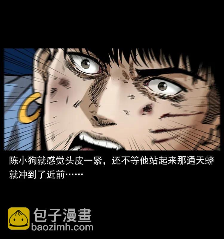 288 强者归队！46