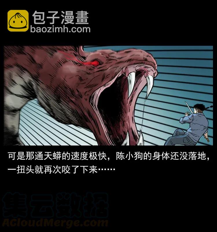 288 强者归队！48