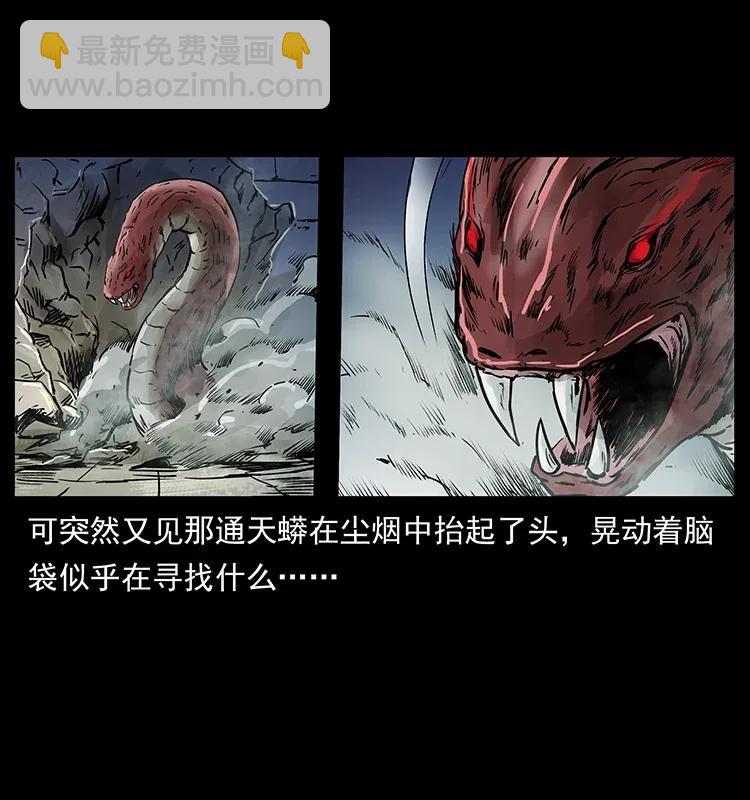 288 强者归队！55