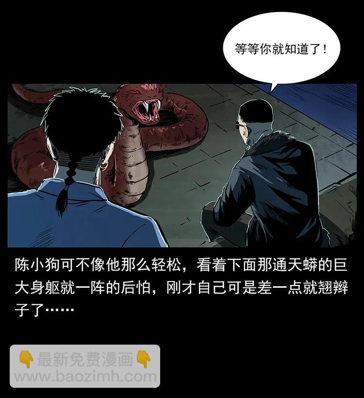 288 强者归队！65