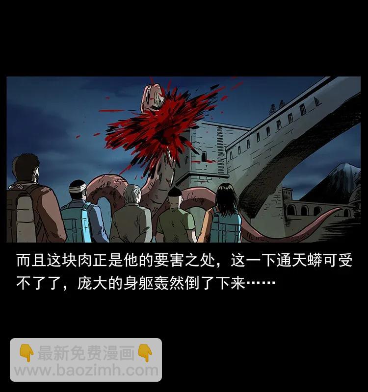 288 强者归队！77