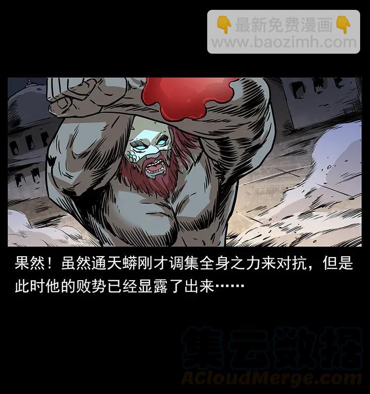 288 强者归队！8